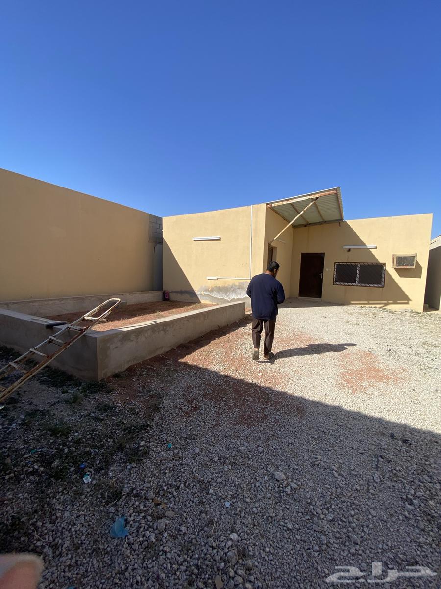 Rest houses for rent in Al-Rass and Qaim (6)63006136744321111