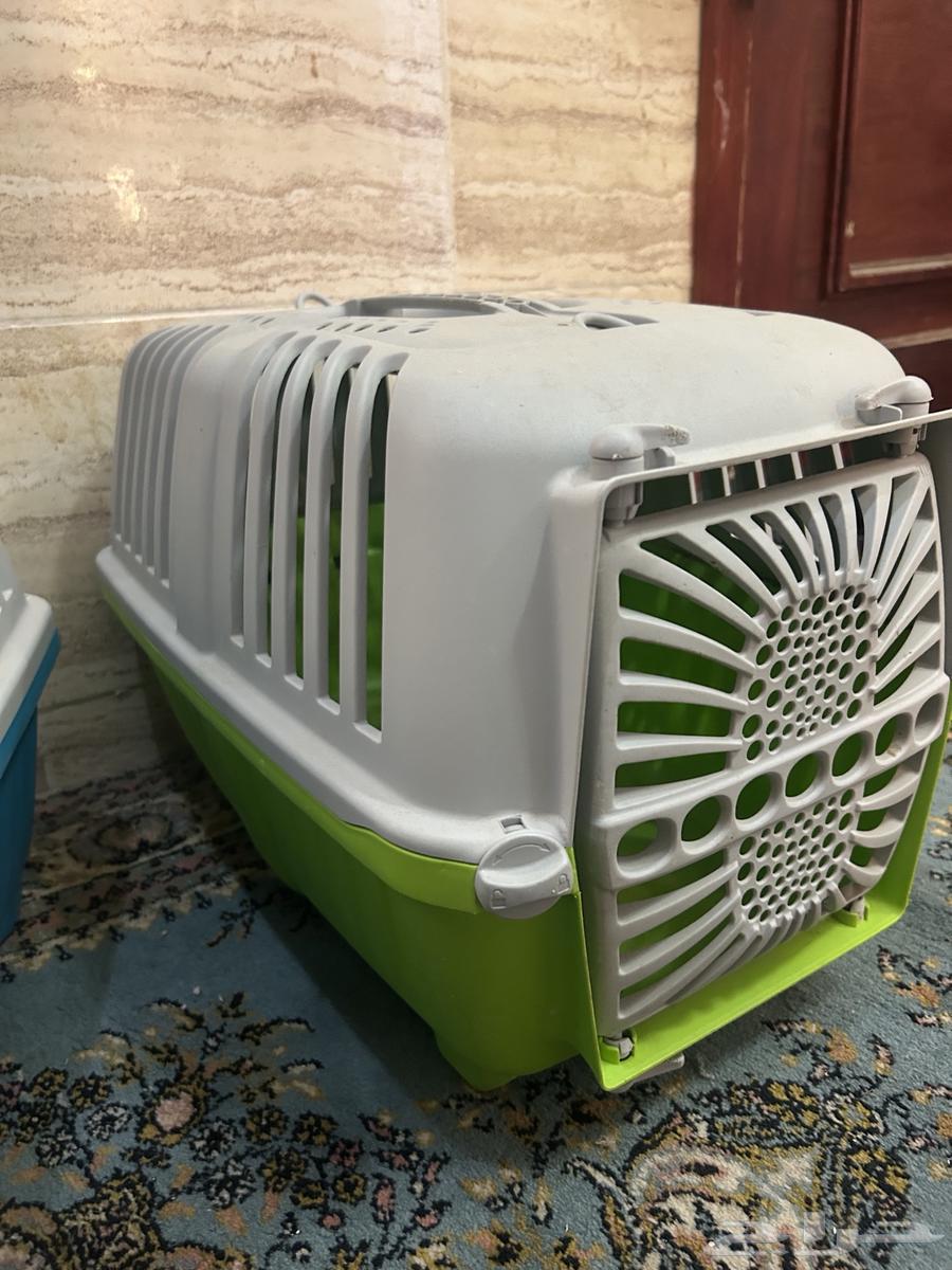 شبك قطط63312712618882110