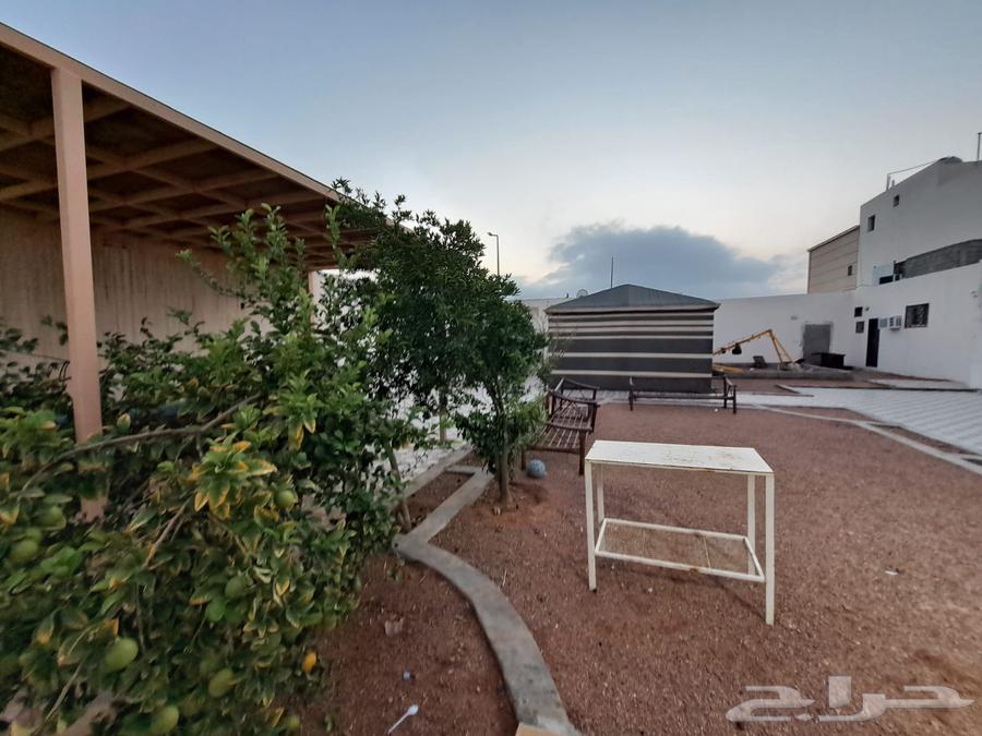 For sale, a rest area in Al-Rajhi neighborhood in Ha'il63004081686275113