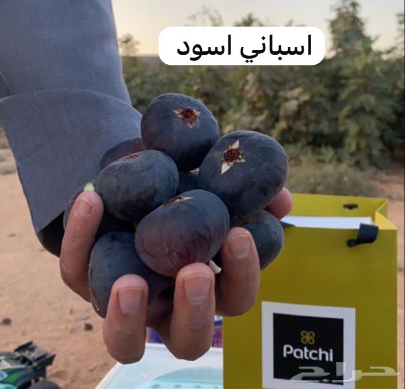 للبيع شتلات عنب و تين جمله 5 ريال63312002081025113