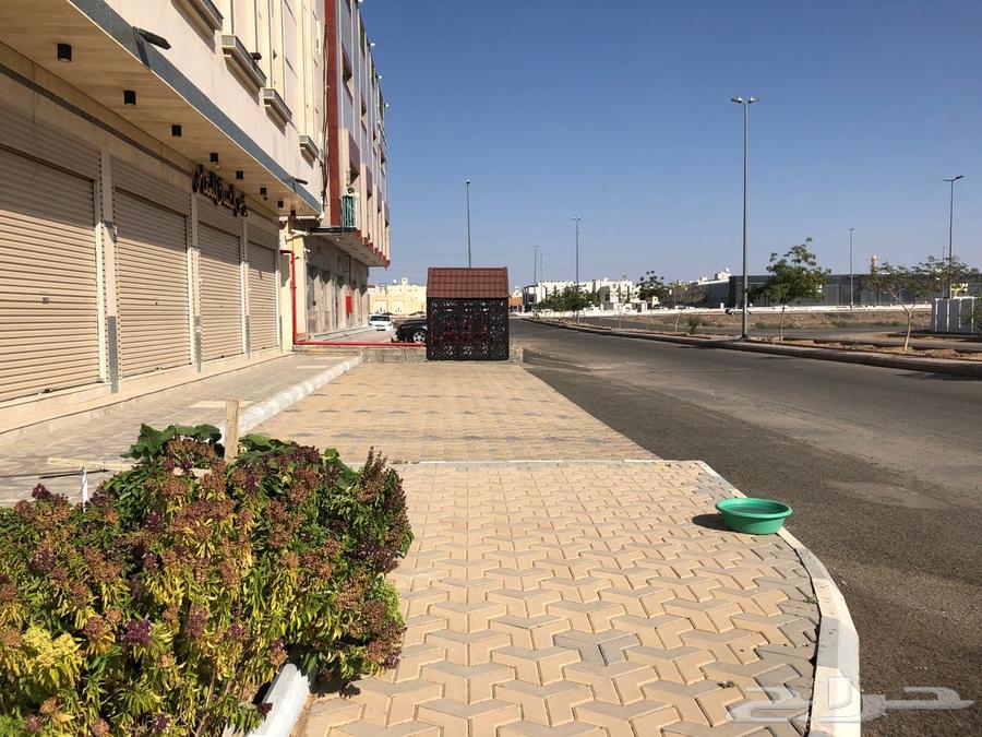 4 rental stores suitable for all activities63006195727362112