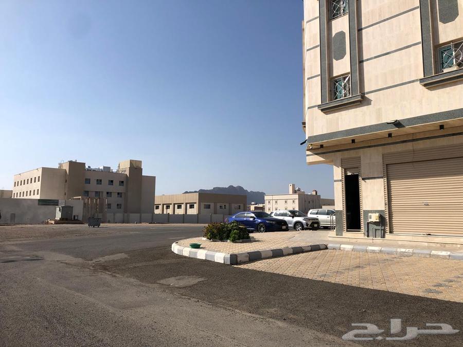 4 rental stores suitable for all activities63006195727362113