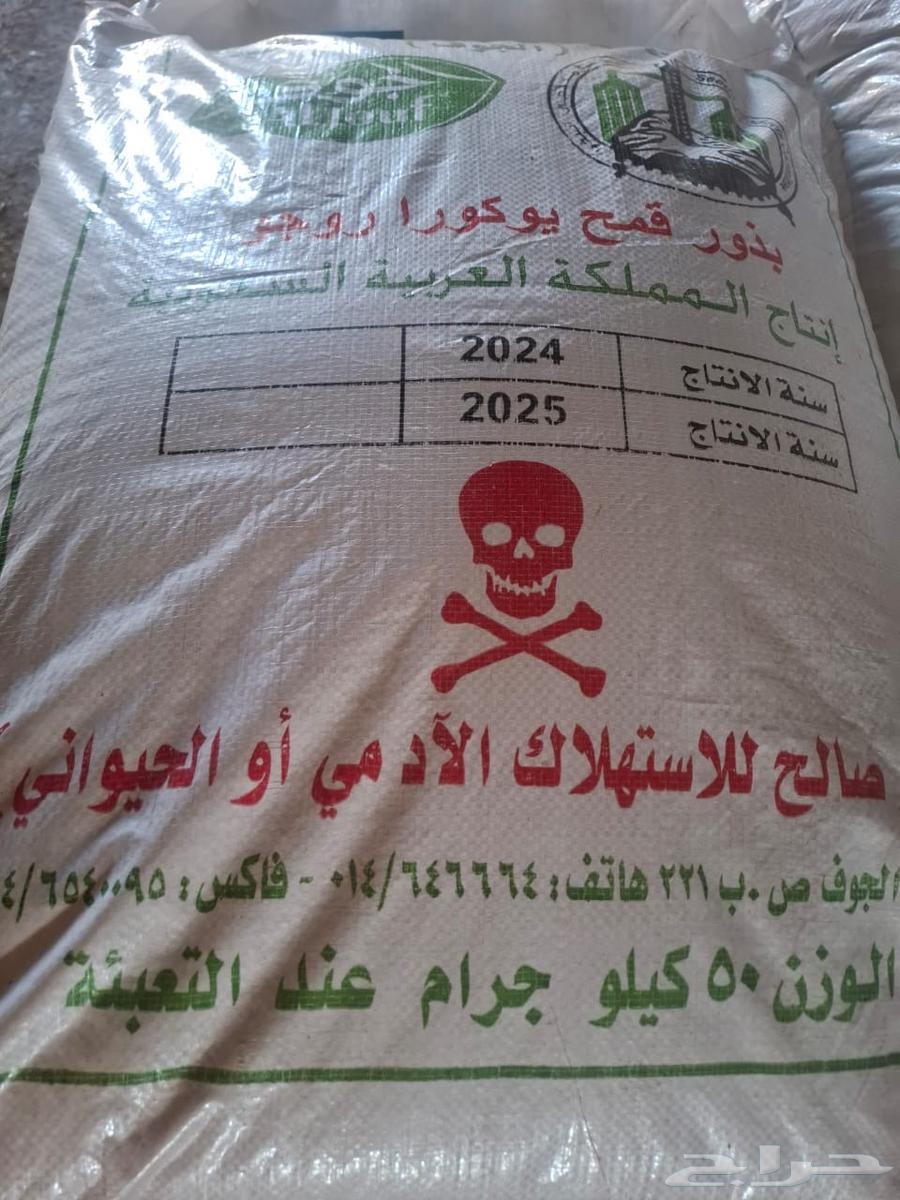 للبيع بذر قمح جيل اول شركة الجوف63309313083650111