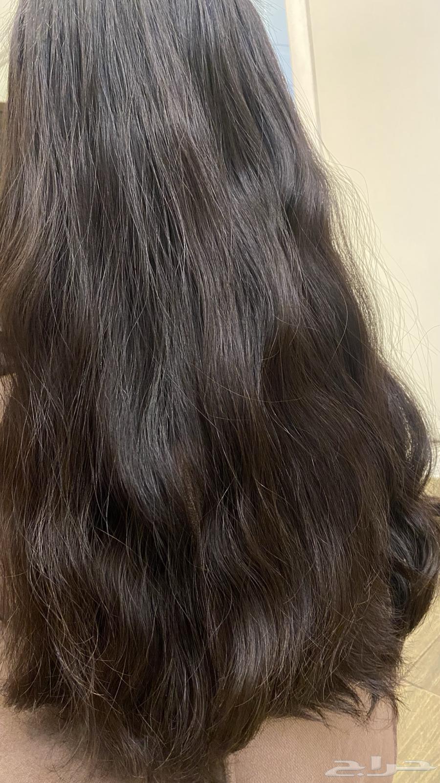 شعر باروكه63306224585091111