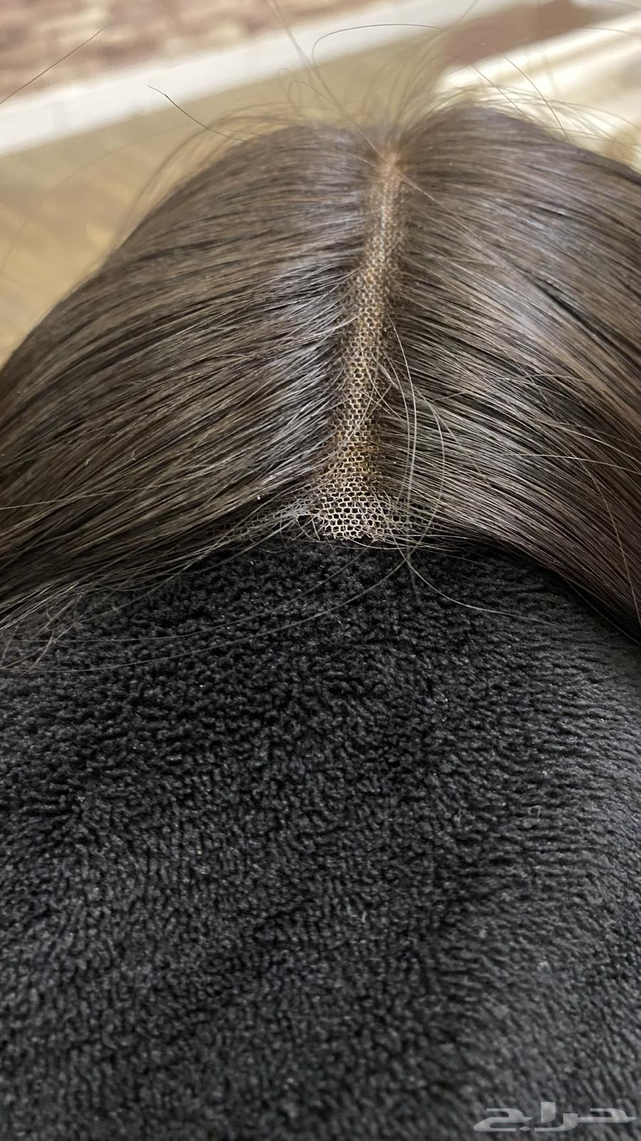 شعر باروكه63306224585091113