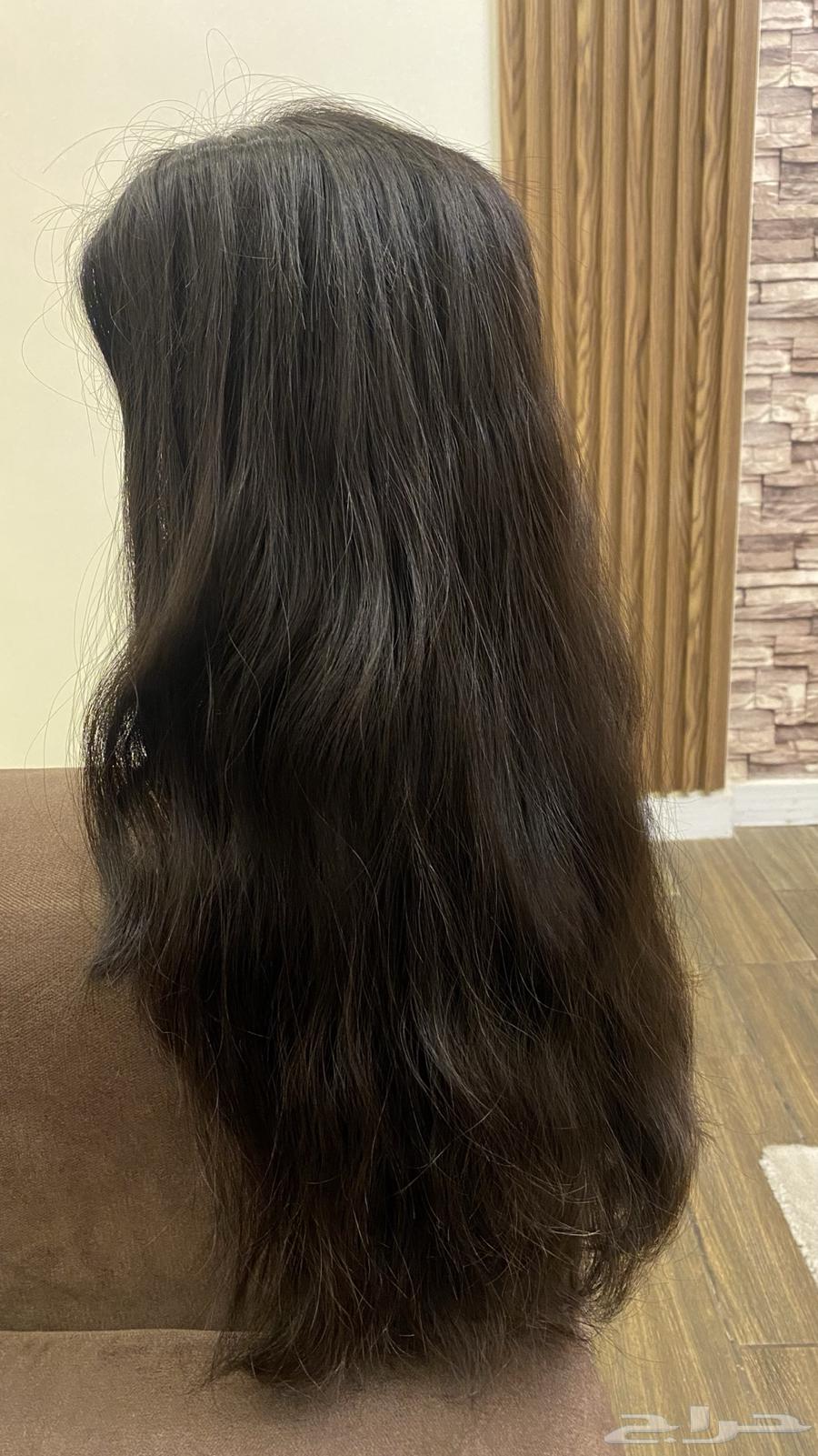 شعر باروكه63306224585091118