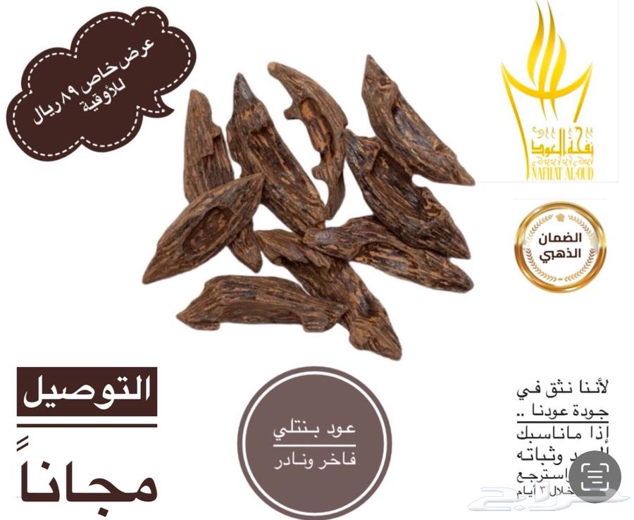 عود63615861556995110