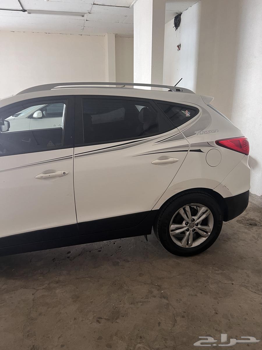 توسان للبيع63617552773249114