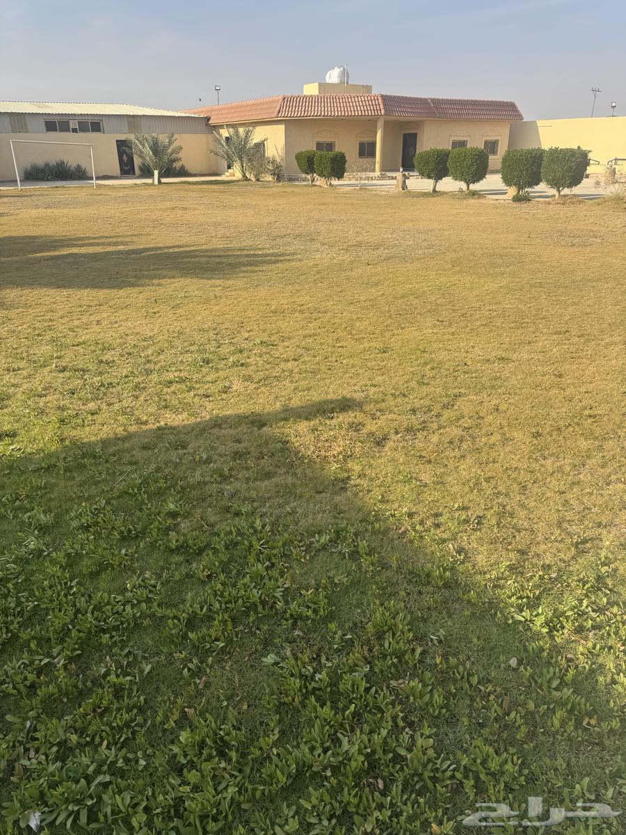 استراحة للبيع في العفجه63006285886850113