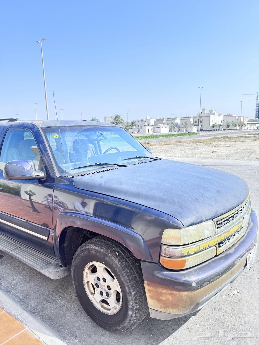 Taho American First Owner 200663617543531905112