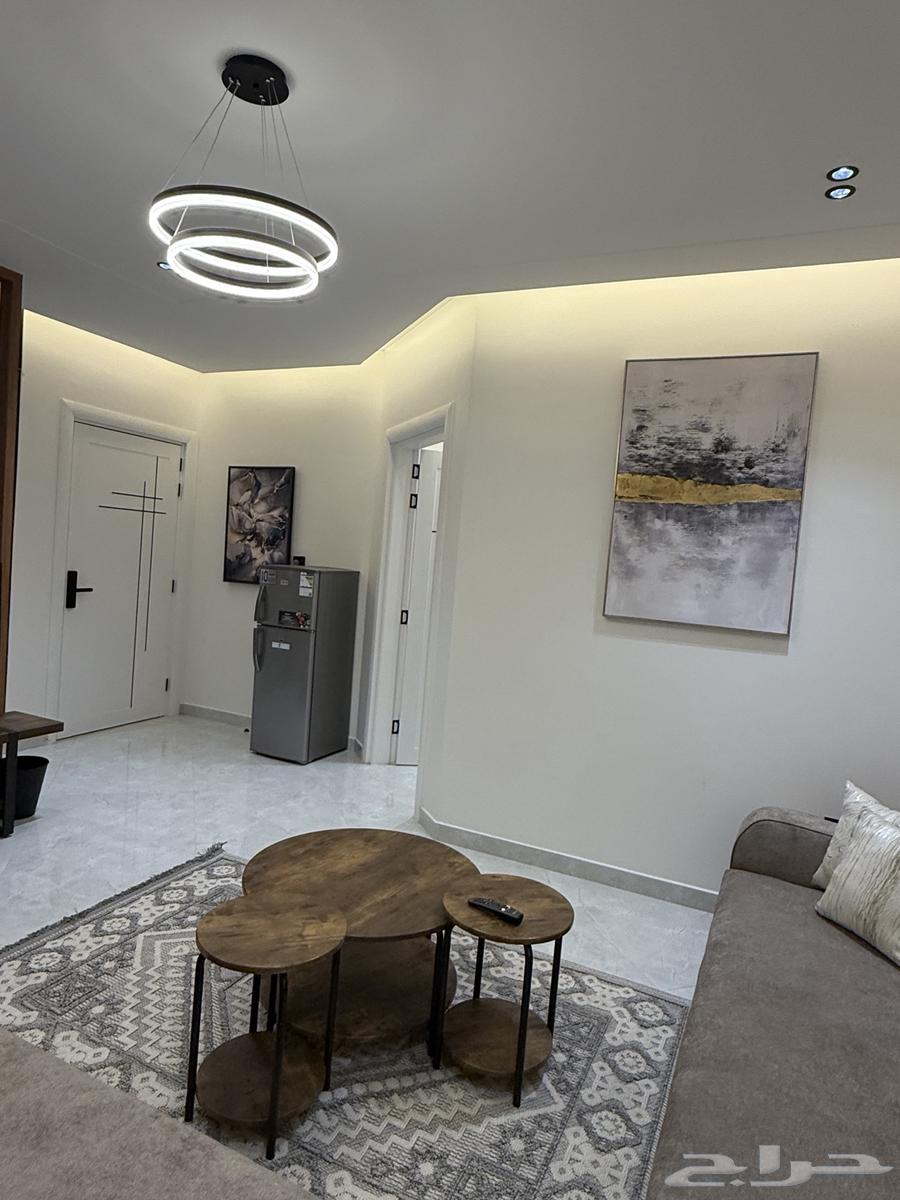 For rent luxurious furnished apartment (families only) for 400063006285550722112