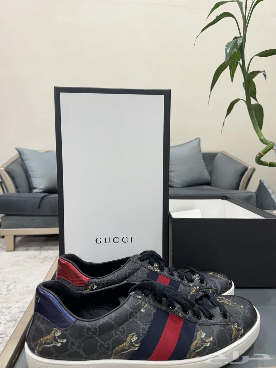 حذاء قوتشي Gucci63302111366402112