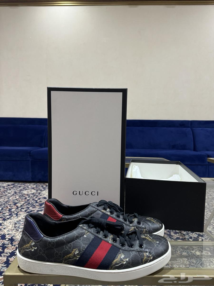 حذاء قوتشي Gucci63302111366402113