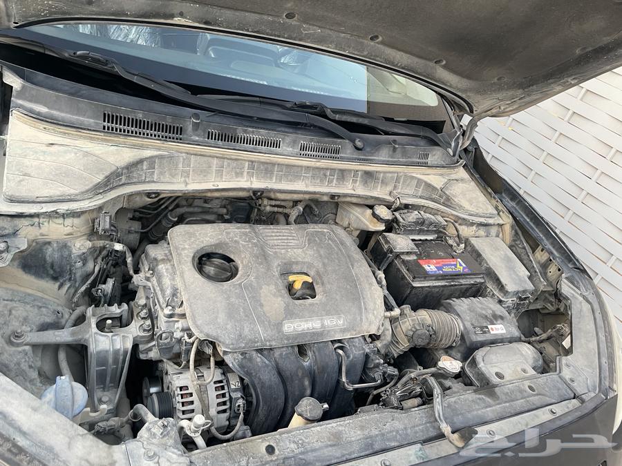 سيارة هيونداي كانو 201963617559277699111
