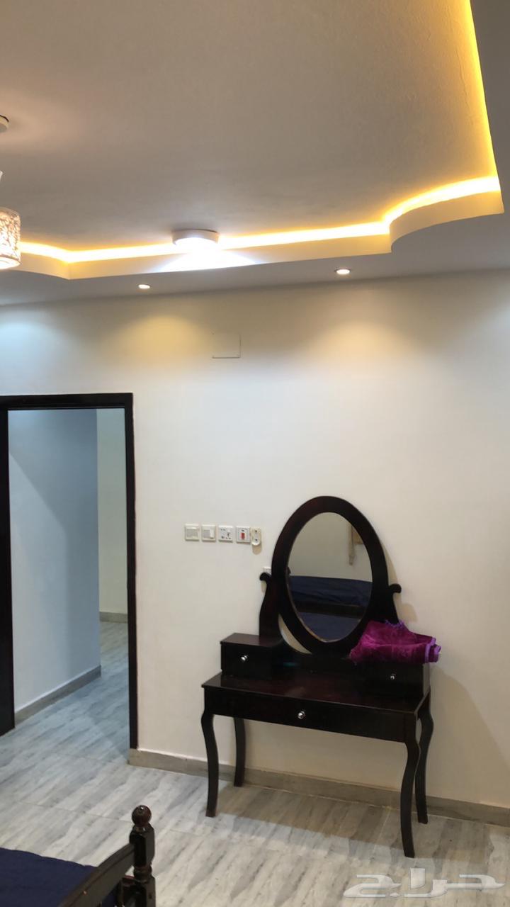 Two-room apartment for summer rent63006317808259112