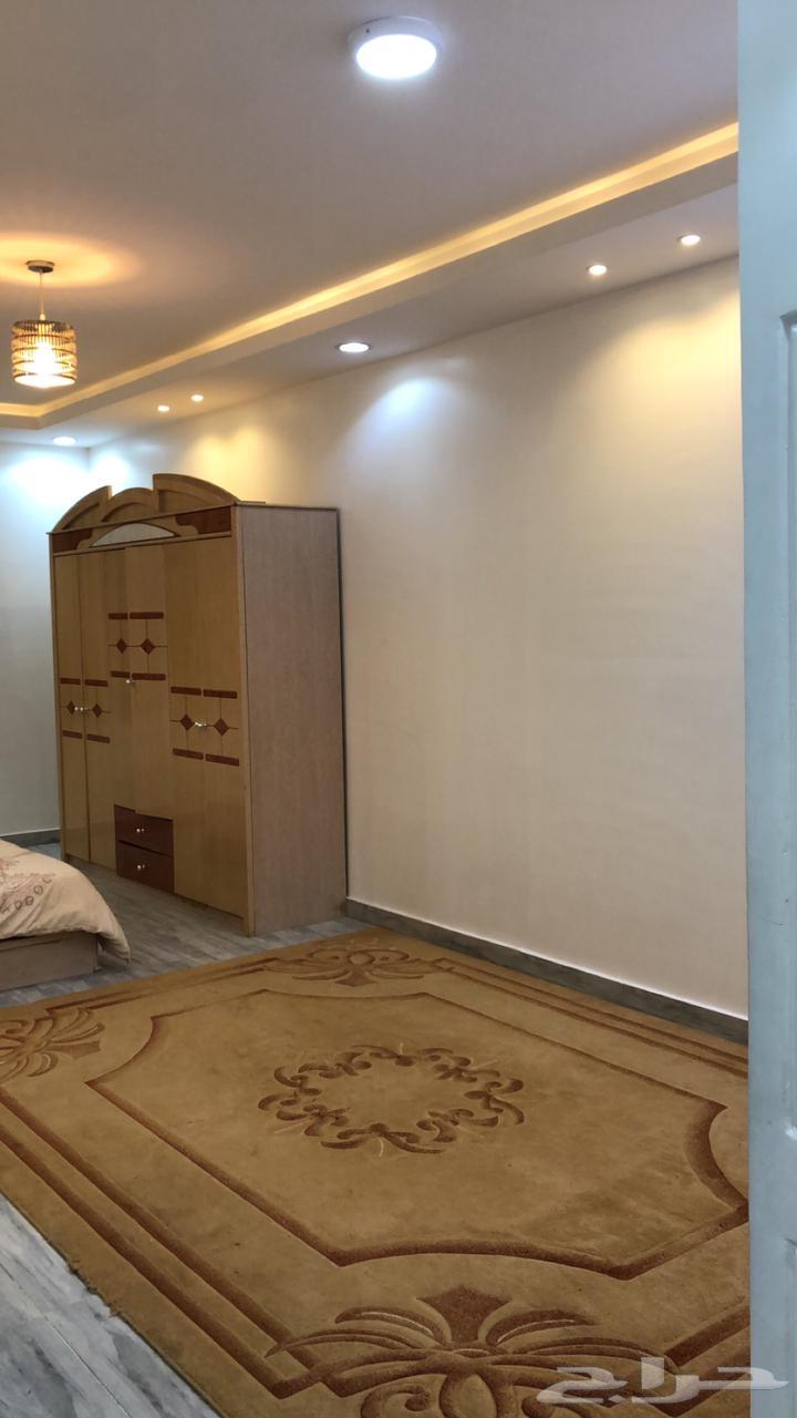 Two-room apartment for summer rent63006317808259111