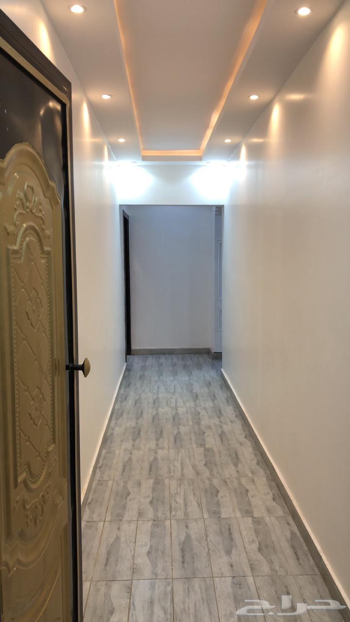 Two-room apartment for summer rent63006317808259113