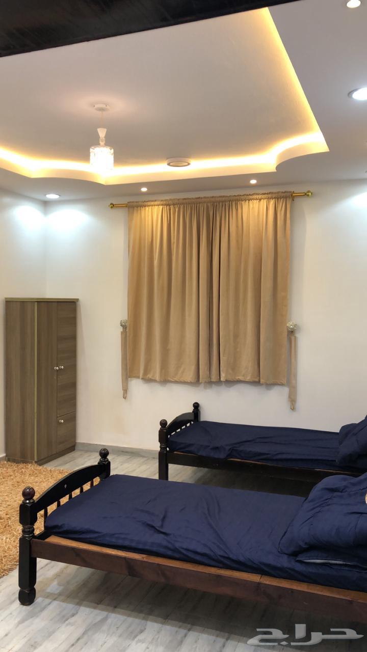 Two-room apartment for summer rent63006317808259114