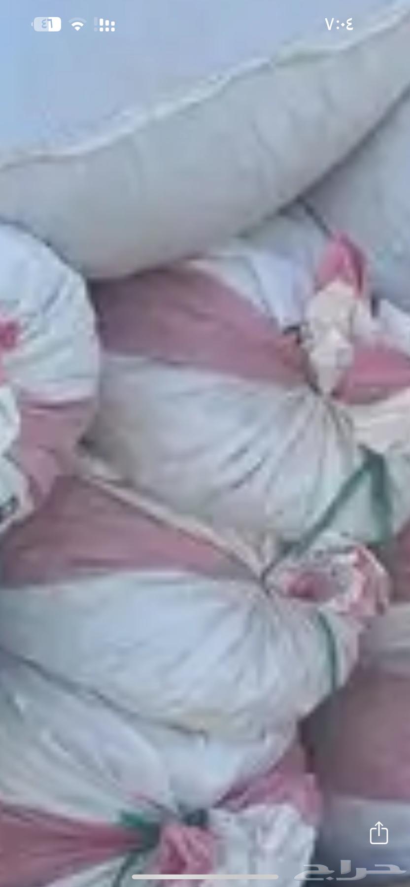 Dates bags for sheep63301965276546111