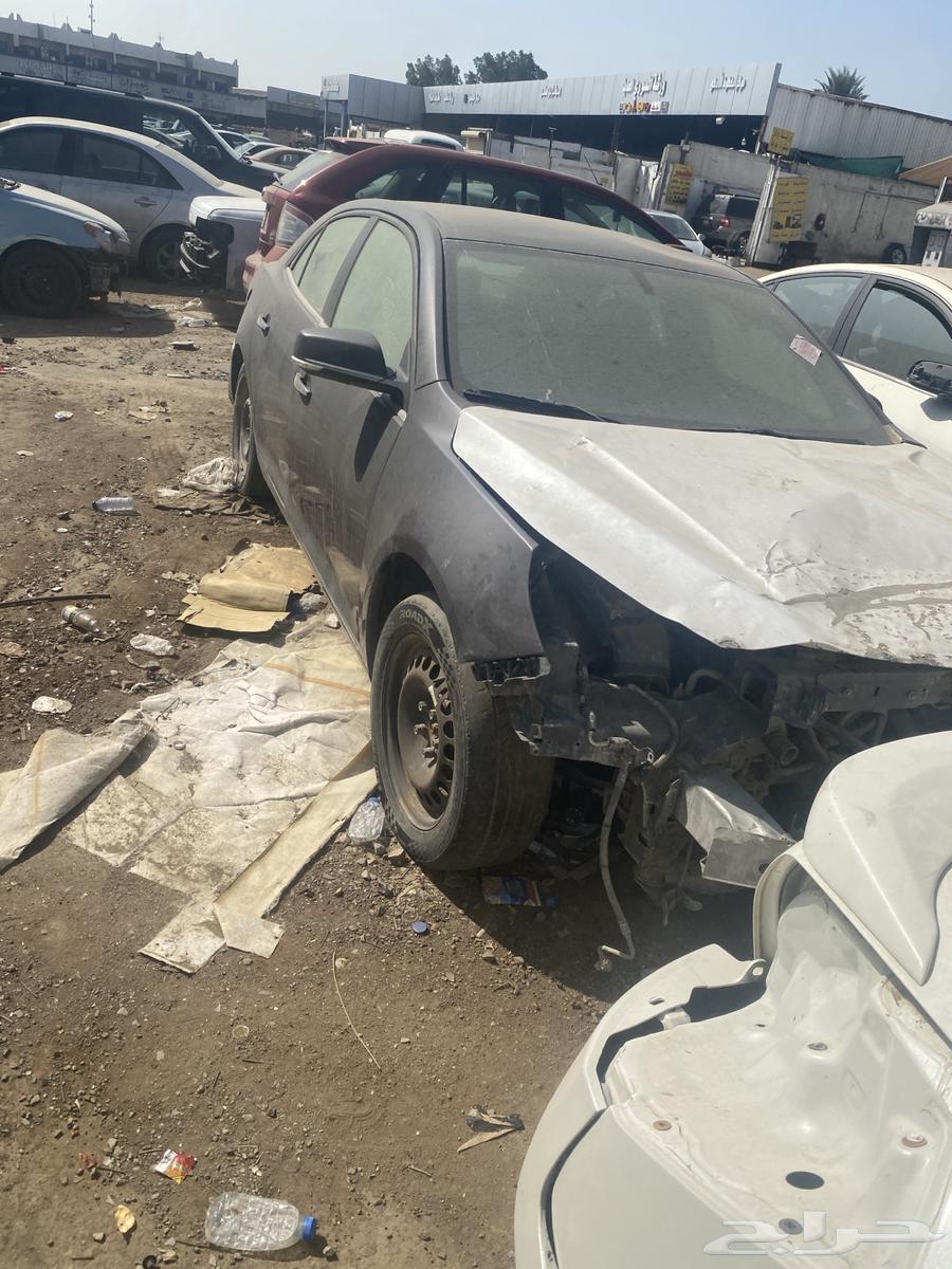 Malibu63617696015747114