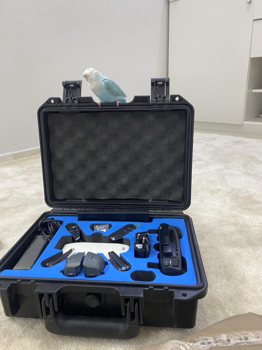 A DJI Spark drone aircraft63299444973187113