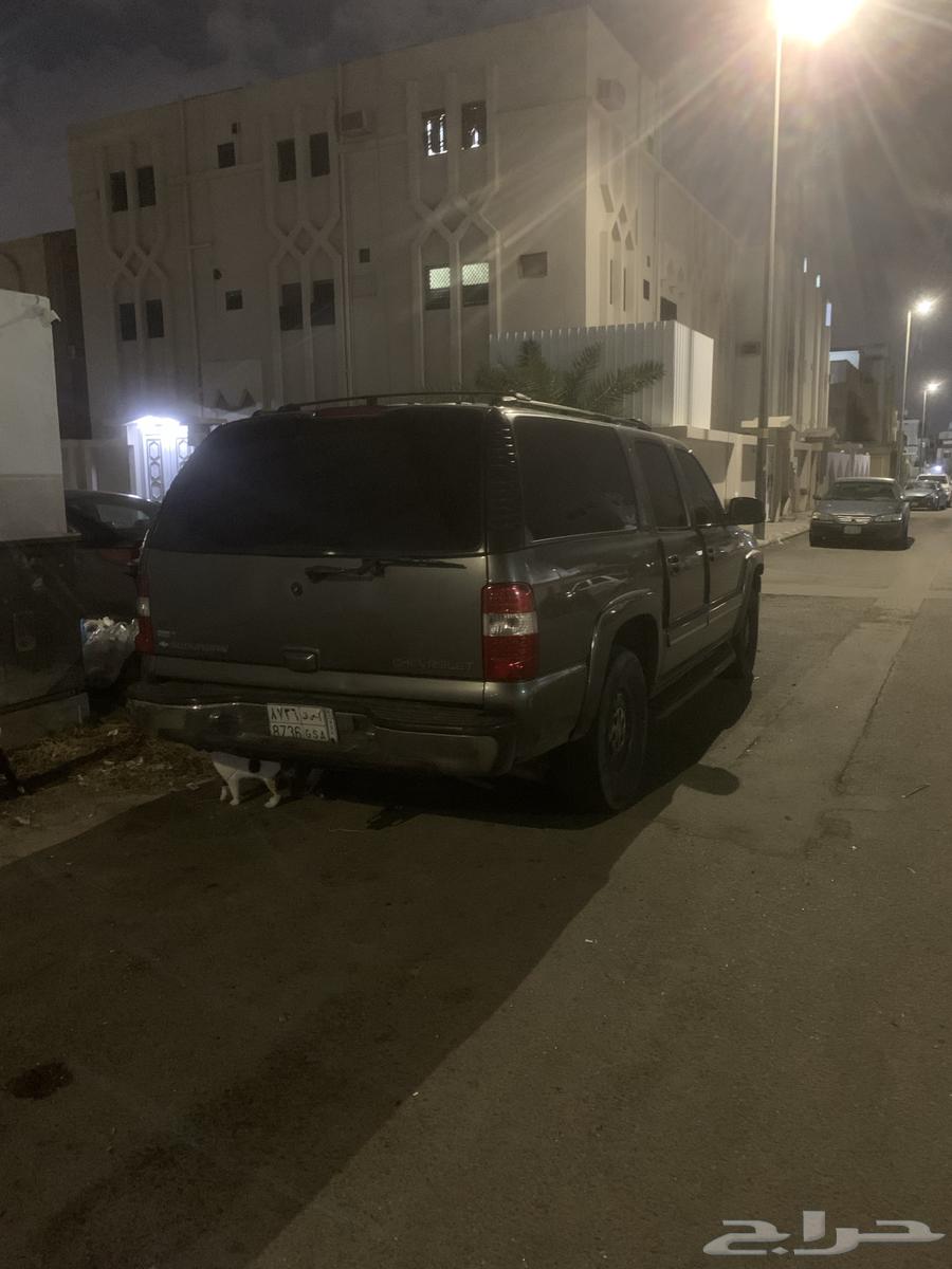 Super Pan 200163534453863811113