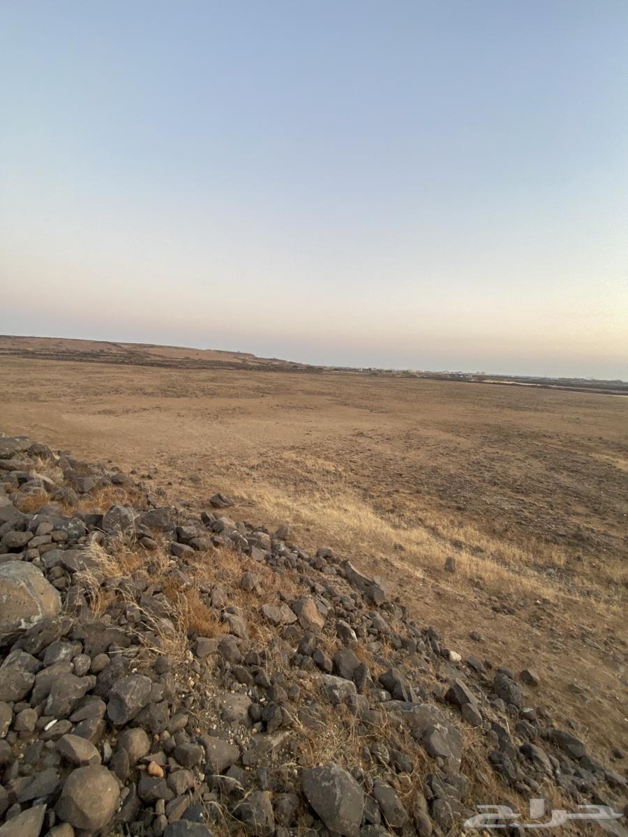 أرض بصك زراعي الكتروني بالحريضه مساحة 68 ألف واكثر63470053428610113