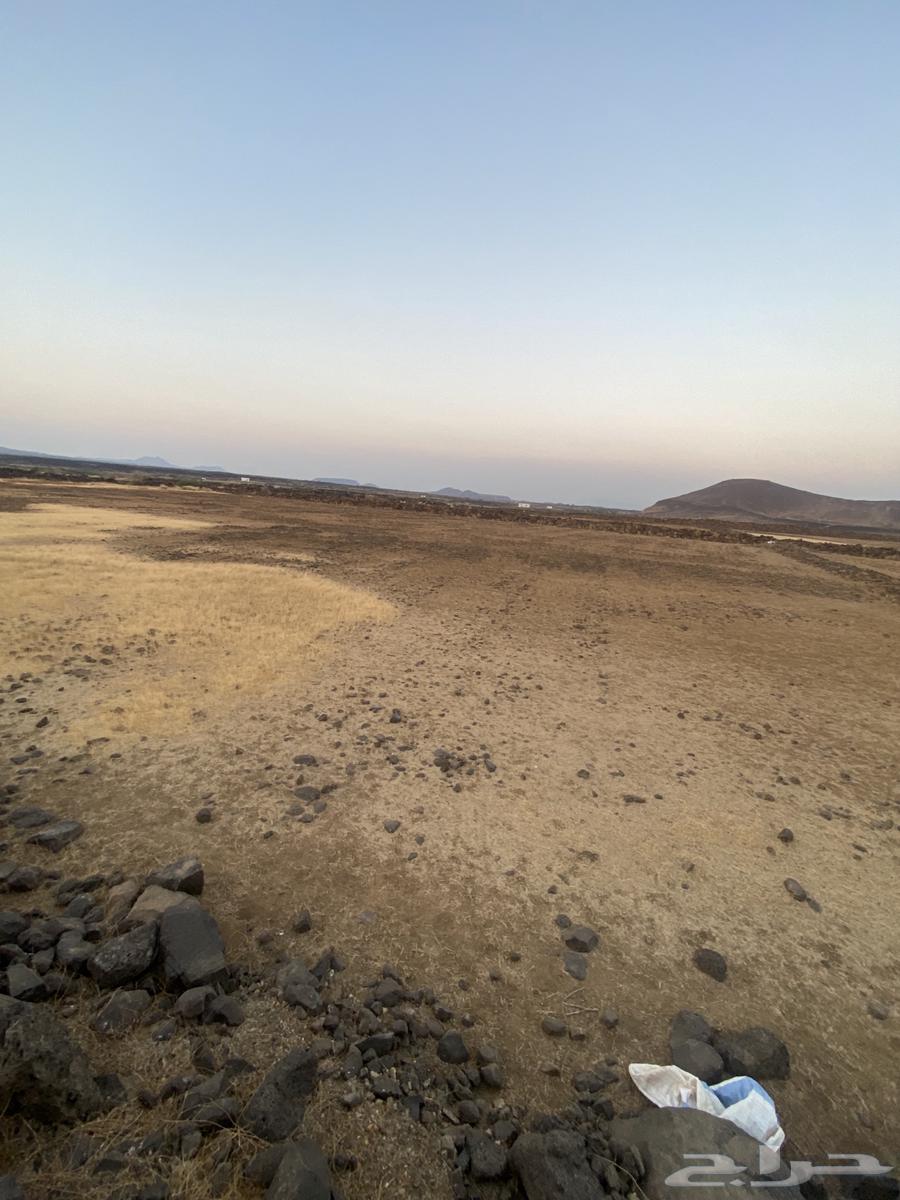 أرض بصك زراعي الكتروني بالحريضه مساحة 68 ألف واكثر63470053428610111