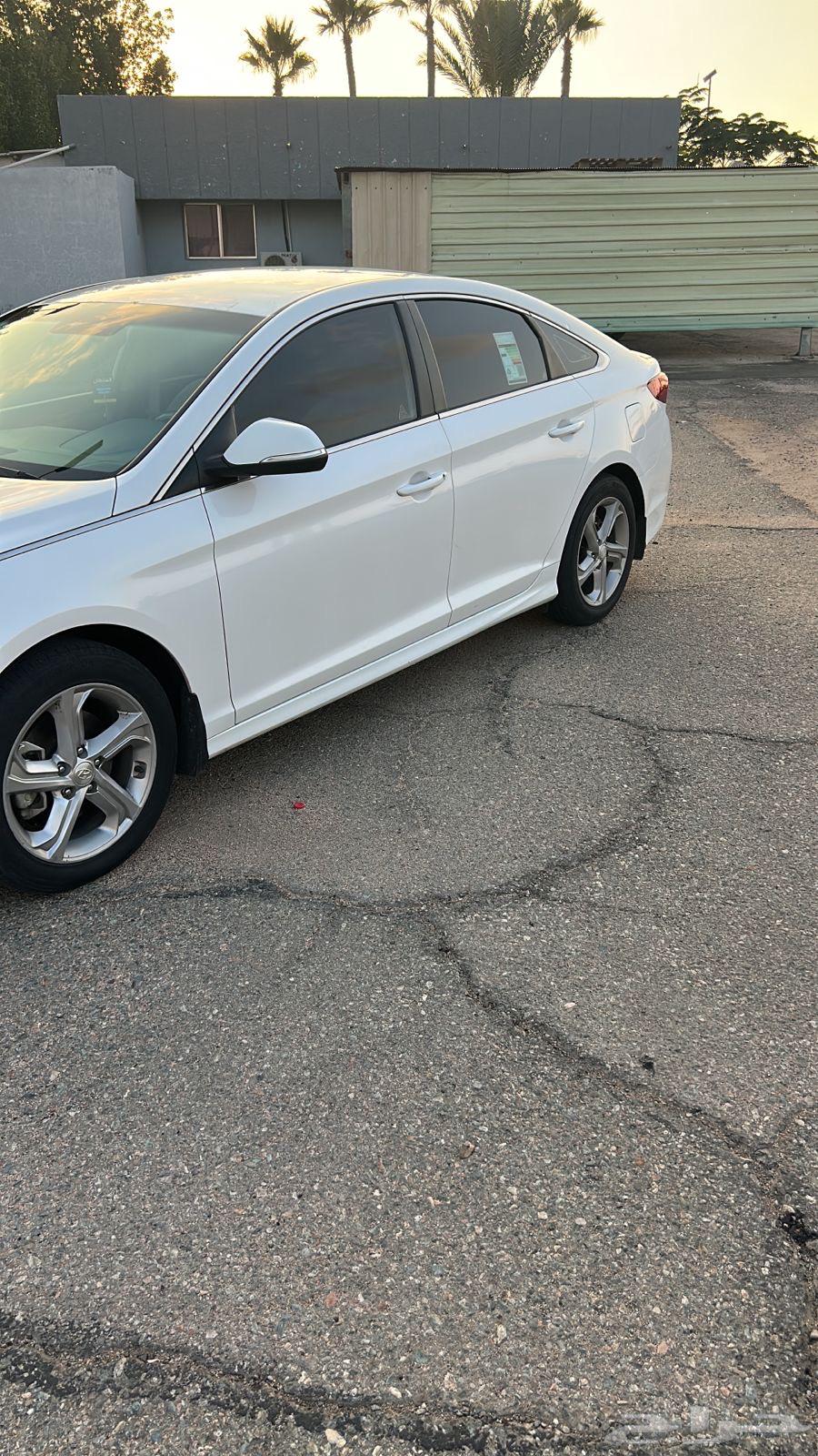 For sale, Sonata 201863534055990787112