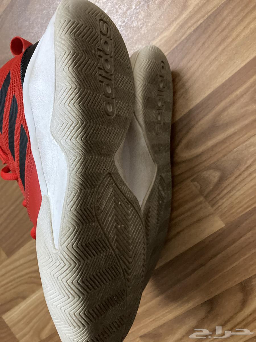 Adidas shoe63616163315329111