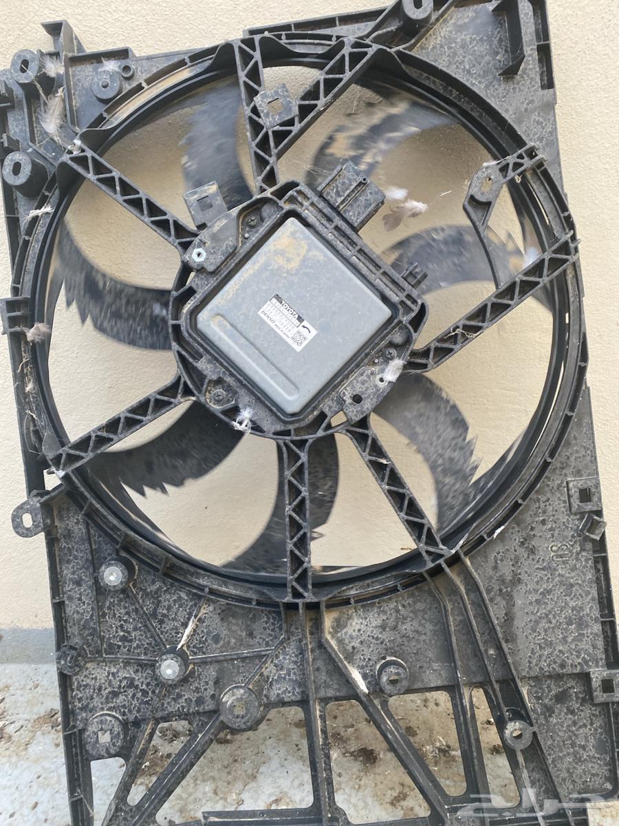 Dietrich's fan63528809667843111