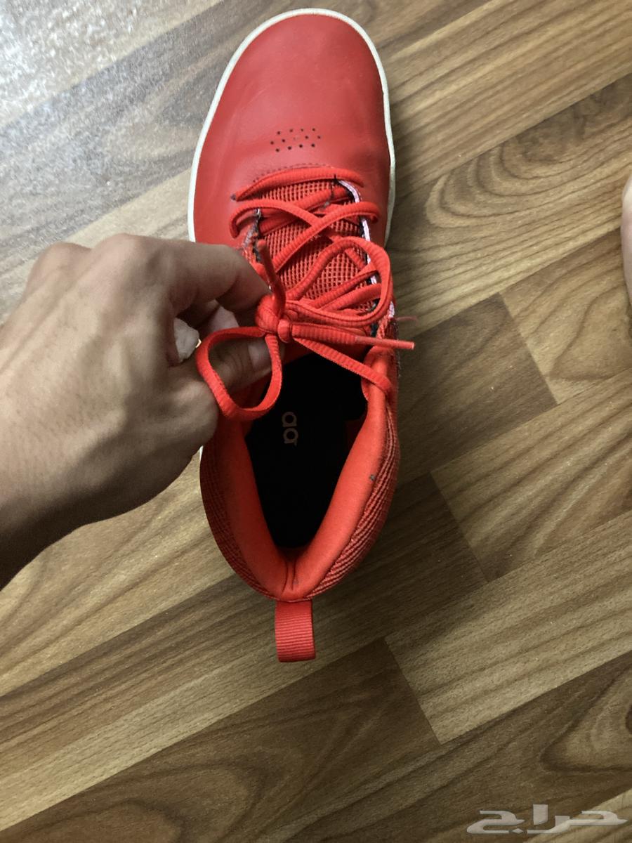 Adidas shoe63616163315329113