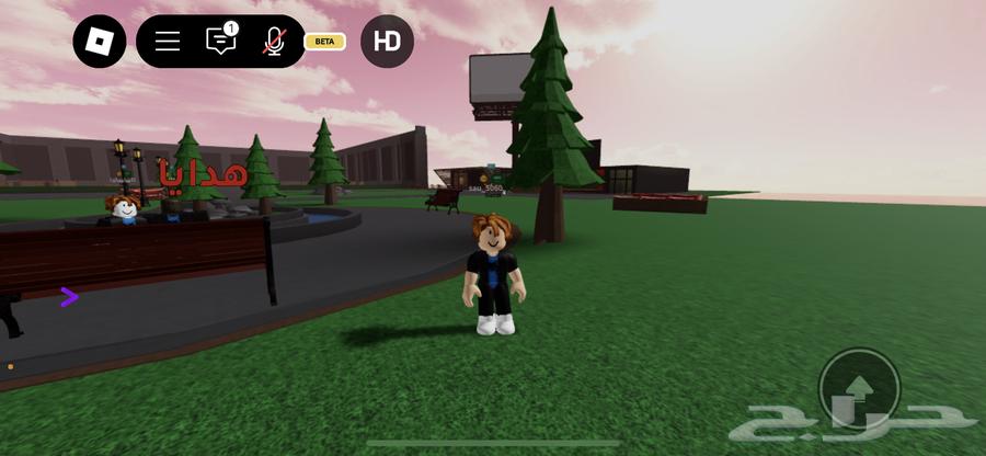 Roblox account with 30 riyals worth of Mike63616160831489112