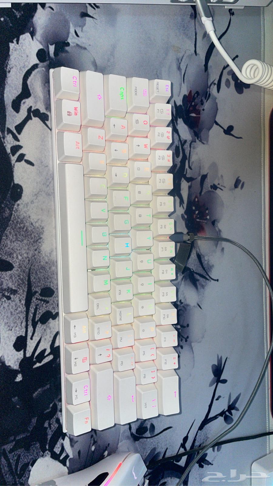Keyboard type CK6263006448498819113