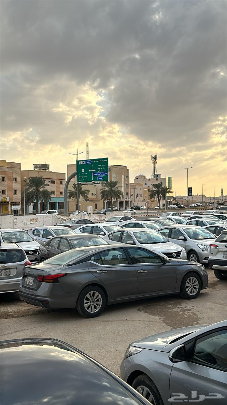 Cars for daily and monthly rental at the lowest prices63515506992897112