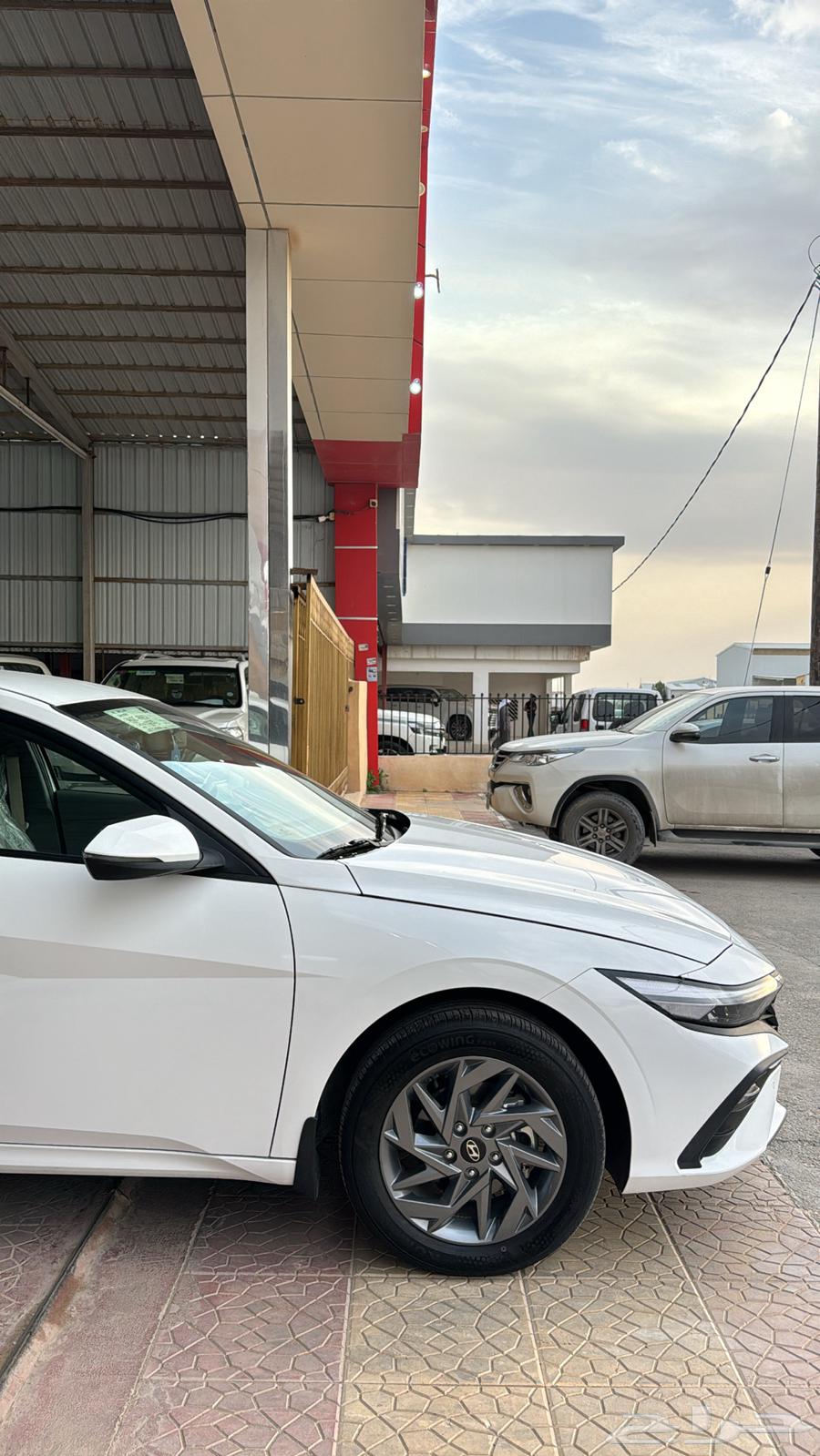 Nitra 2024 Saudi Half Full ((Sold))63515737242369113