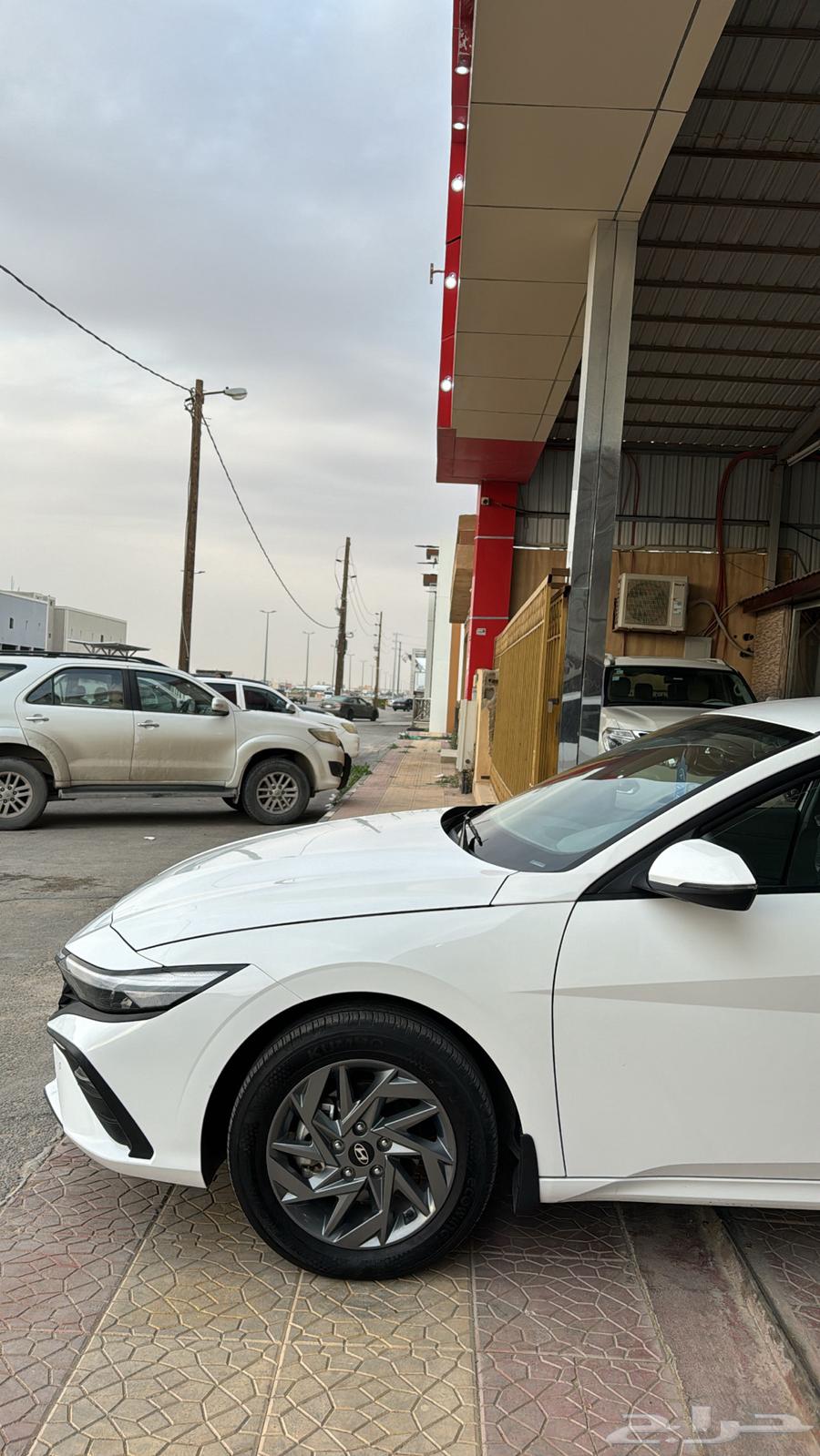 Nitra 2024 Saudi Half Full ((Sold))63515737242369114