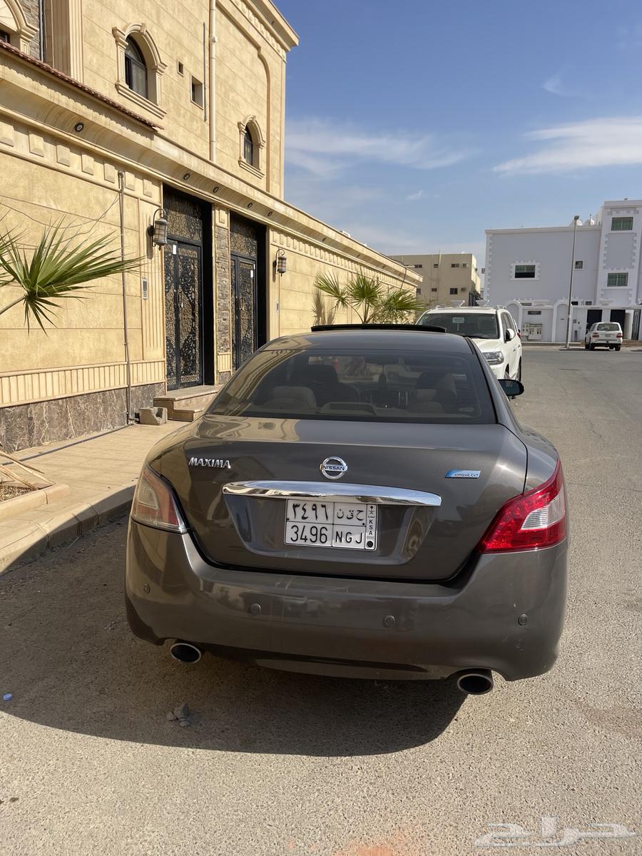 ماكسيما 201463511586983298114