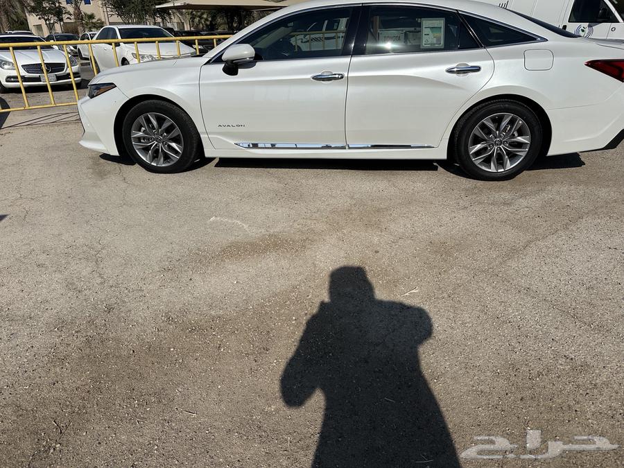 Avalon. Limited. 202263511390568067113