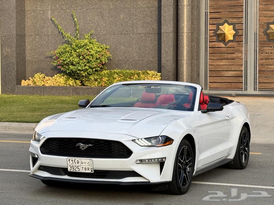 فورد موستانج 2019 نظيفة جدًا63511161234946113