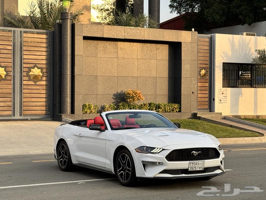 فورد موستانج 2019 نظيفة جدًا63511161234946112