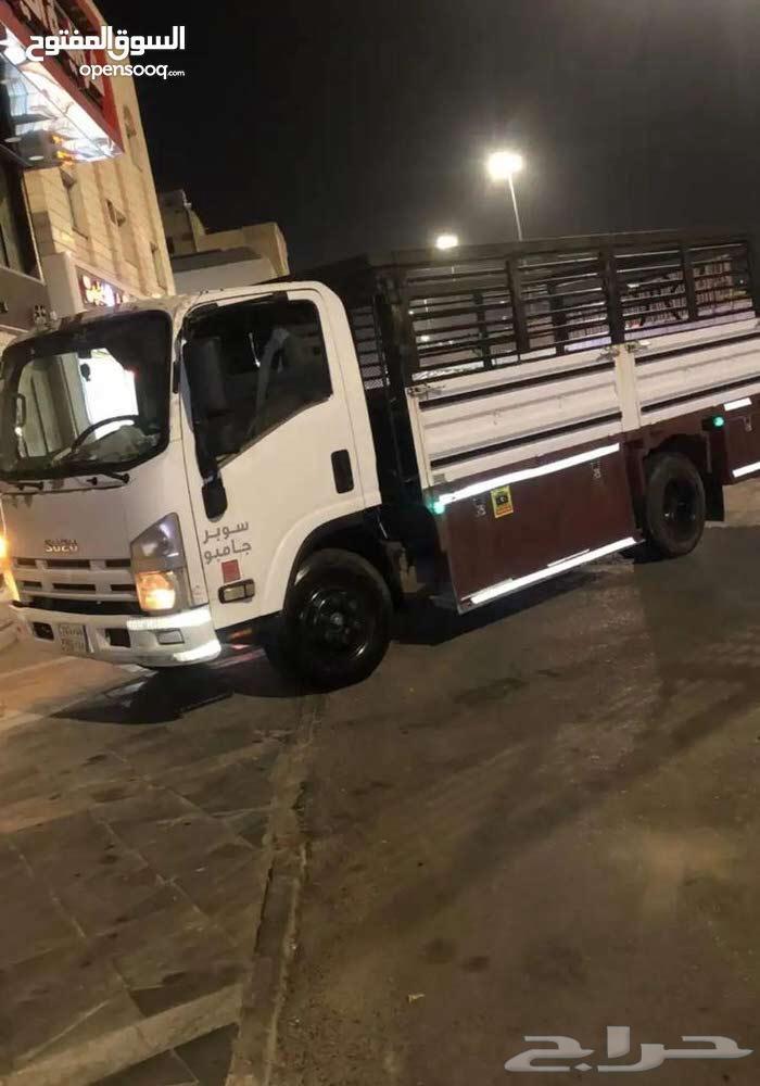 دينا لنقل شنط الحجاج63024891028609111