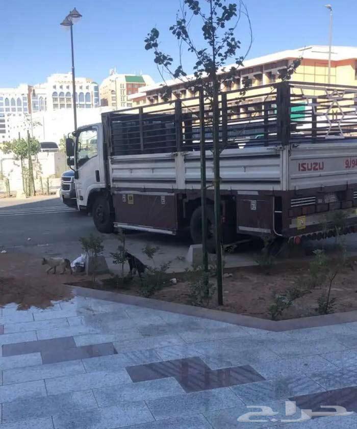 دينا لنقل شنط الحجاج63024891028609112