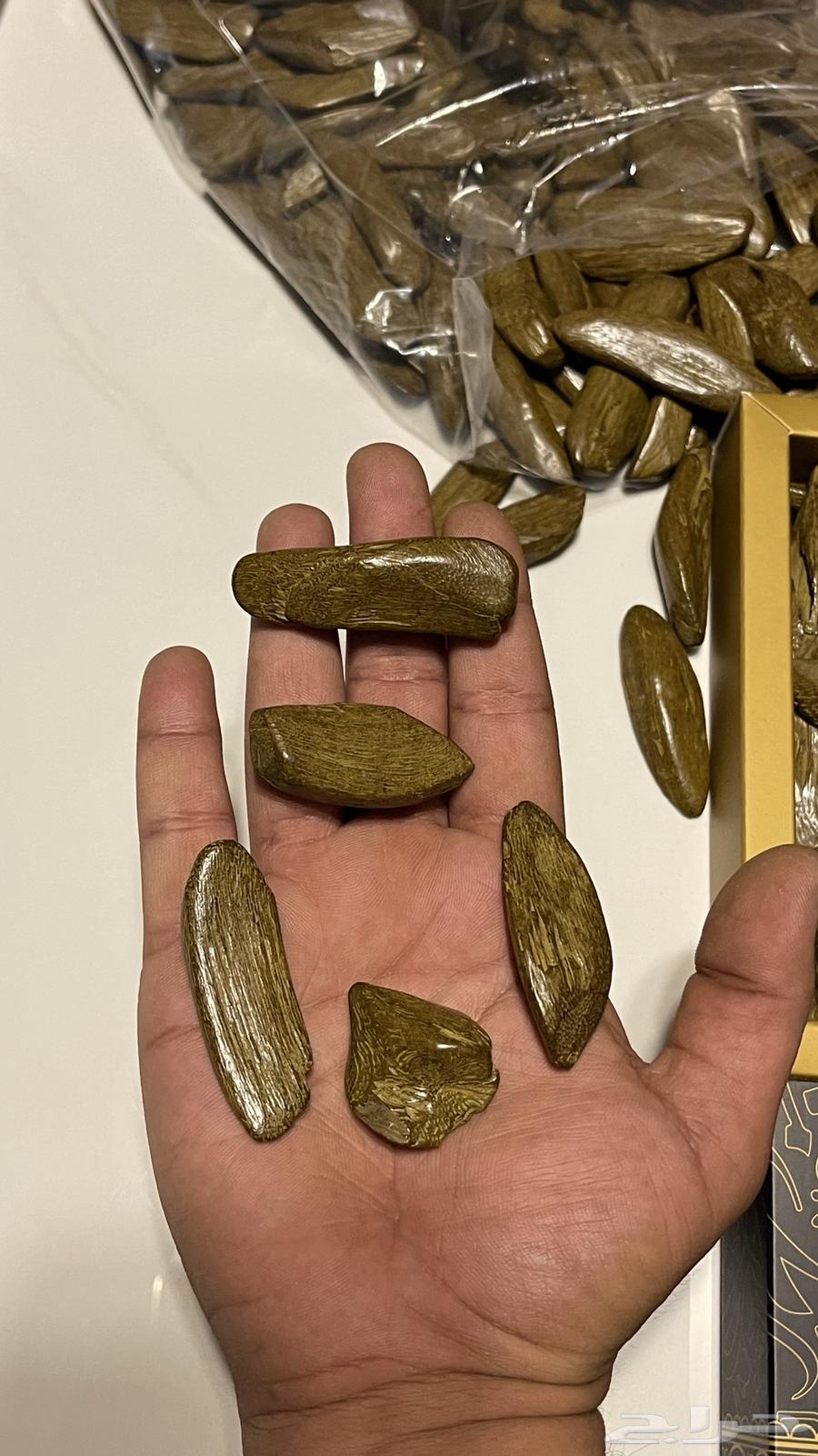 مشروع للبيع عود63290644626562111