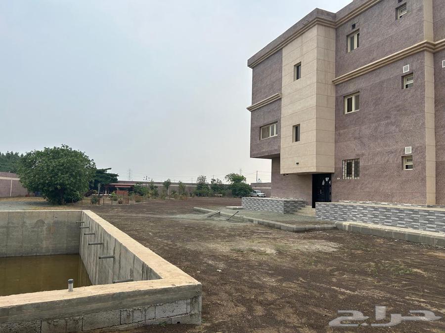 For sale: Al-Jamalia farm in Jazan, negotiable63006567918338112