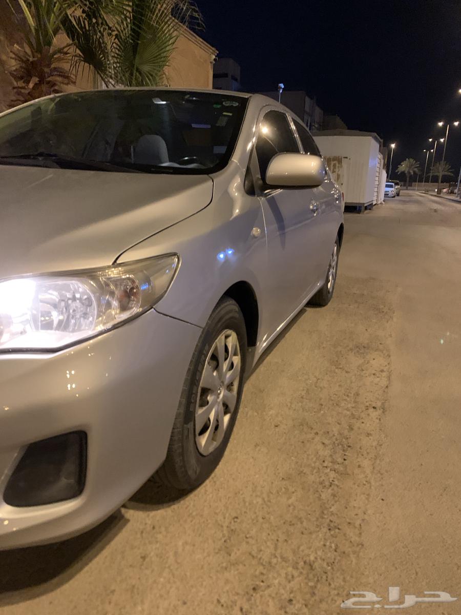 Korla 2013 for sale63508519344899114