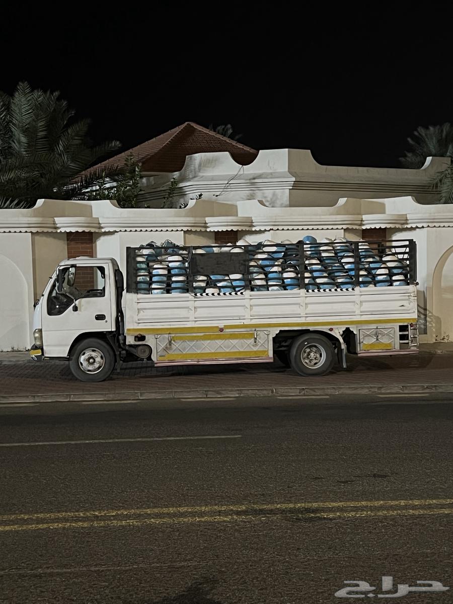 دينا نقل كبيره630248918044171116
