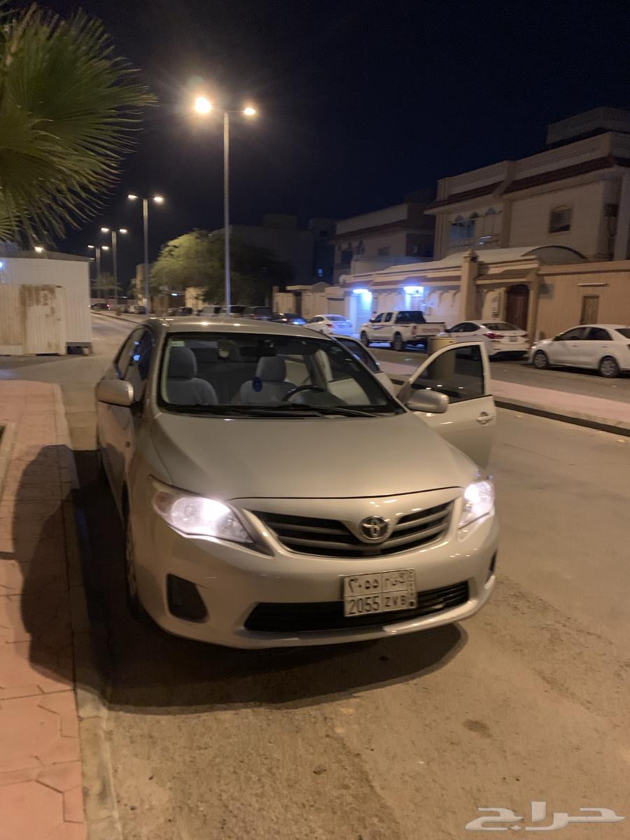 Korla 2013 for sale63508519344899112