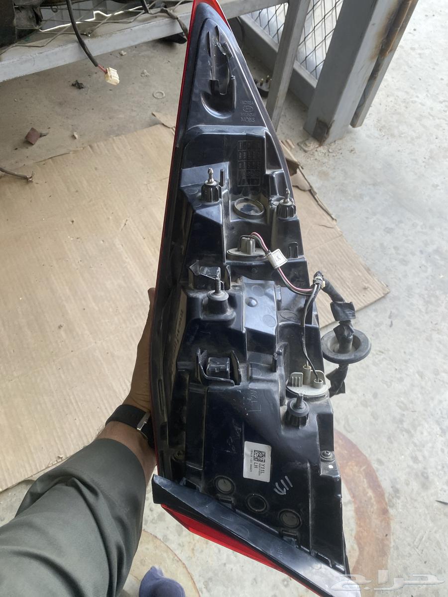اصطب النتراء 19-20 يسار نضيف63507049552385112