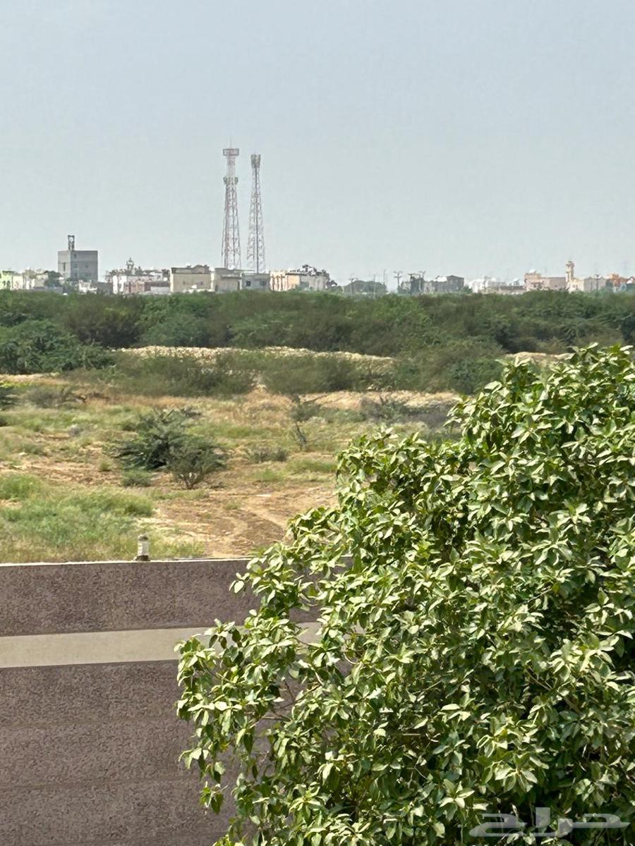 For sale: Al-Jamalia farm in Jazan, negotiable63006567918338111